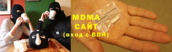 шишки Няндома