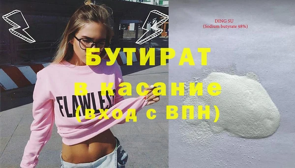 шишки Няндома