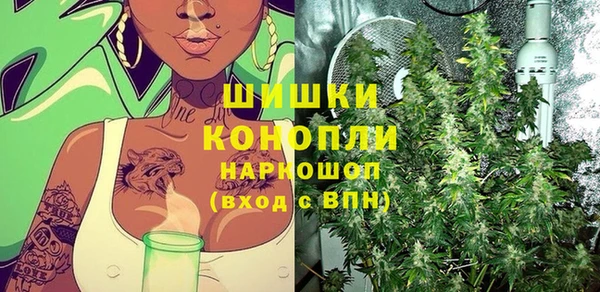 СК Аркадак