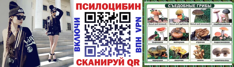 где найти наркотики  Артёмовский  Псилоцибиновые грибы Cubensis 