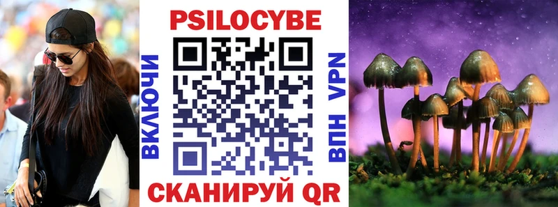 Псилоцибиновые грибы Psilocybine cubensis Артёмовский